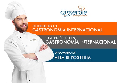 Plan de estudio casserole